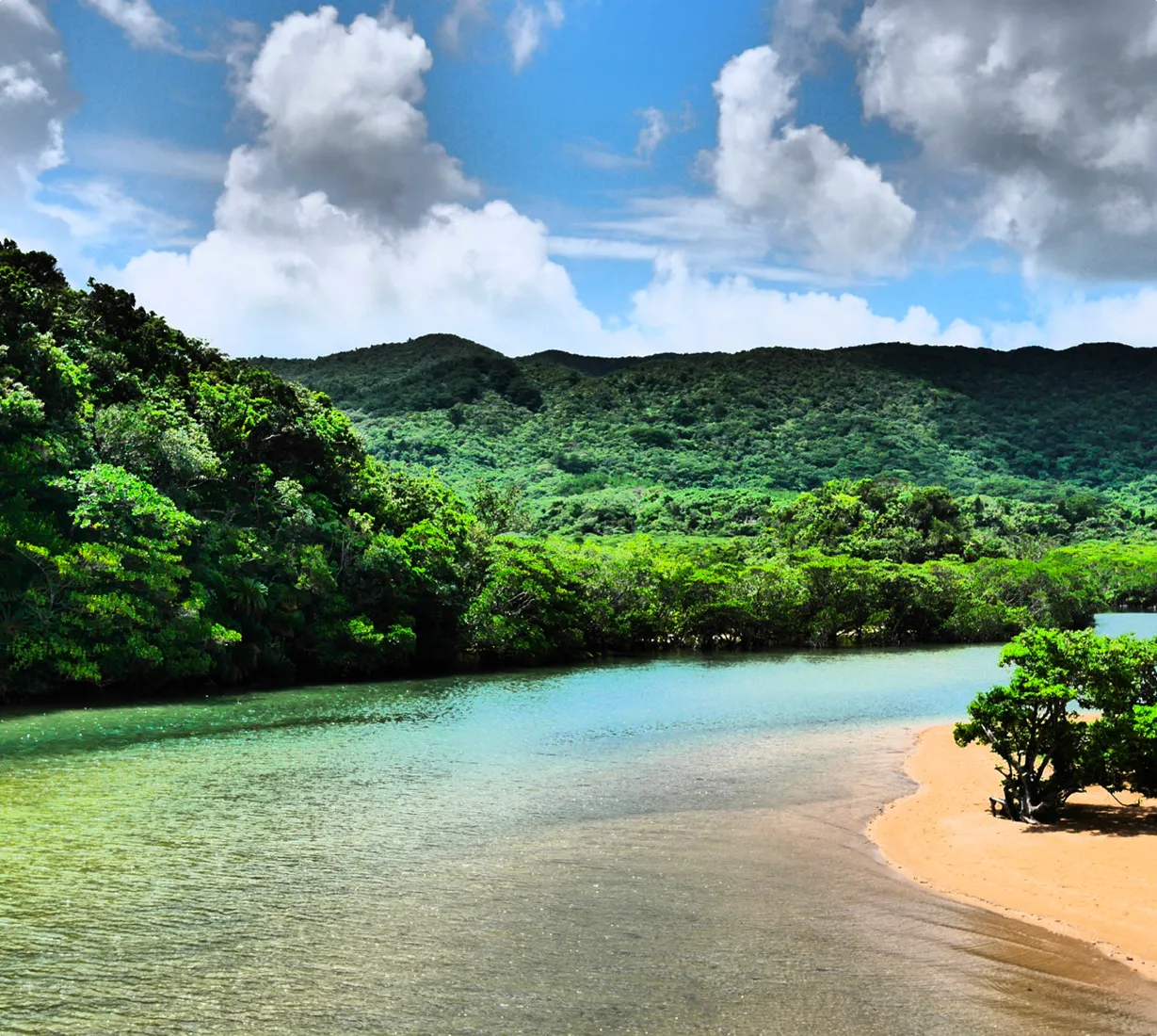 ⻄表島 そこは⽇本に残された最後の秘境。