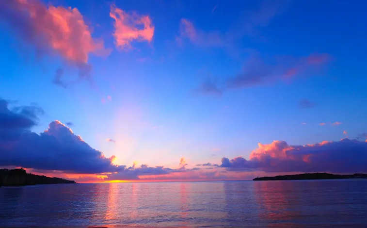 朝/夕方/夜のツアー